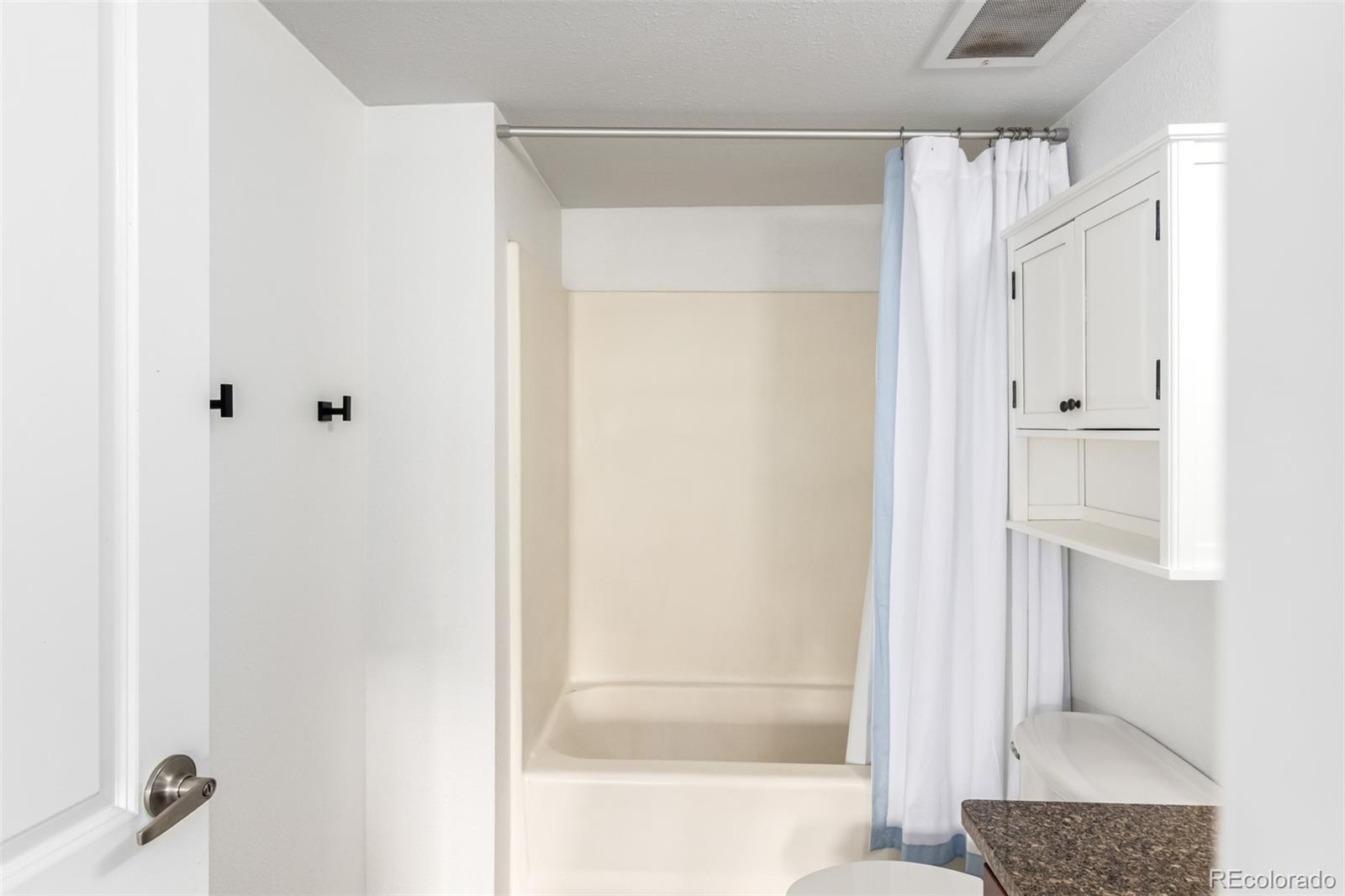 MLS Image #20 for 100  park avenue,denver, Colorado