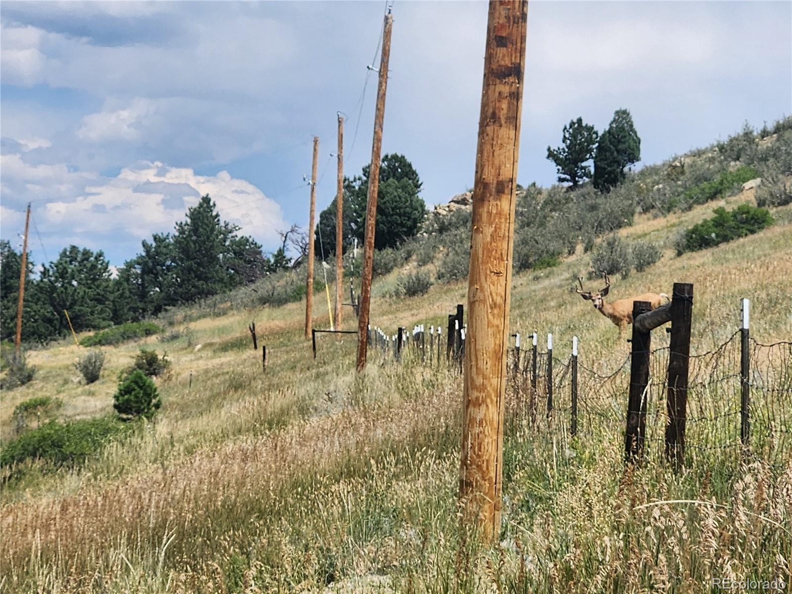 MLS Image #36 for 5040  pine ridge road,golden, Colorado