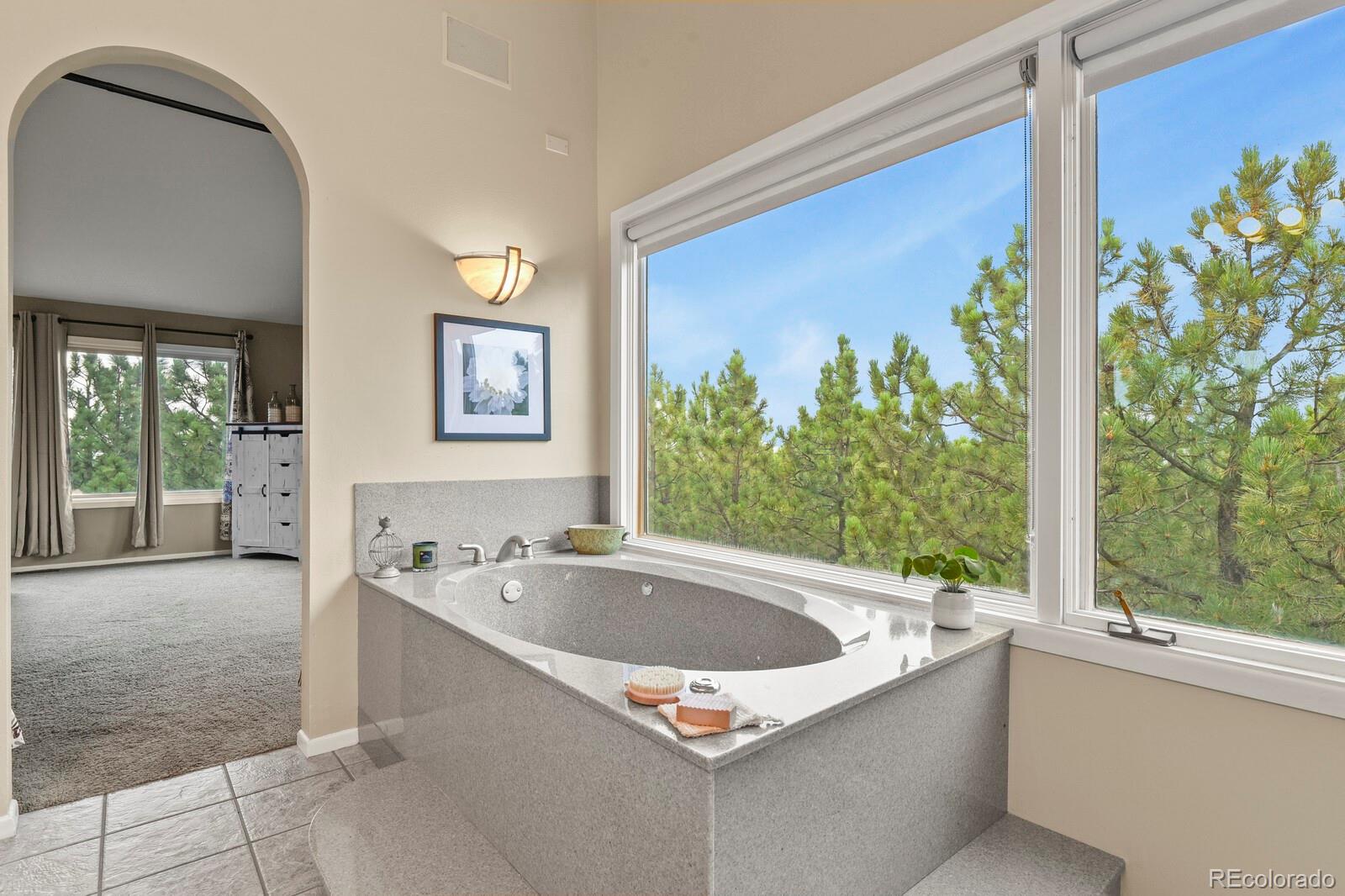 MLS Image #22 for 265  lodgepole way,monument, Colorado