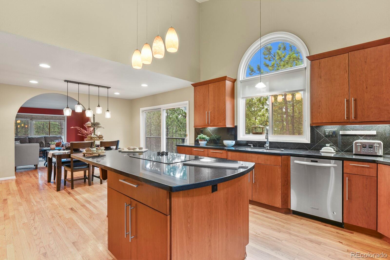 MLS Image #7 for 265  lodgepole way,monument, Colorado