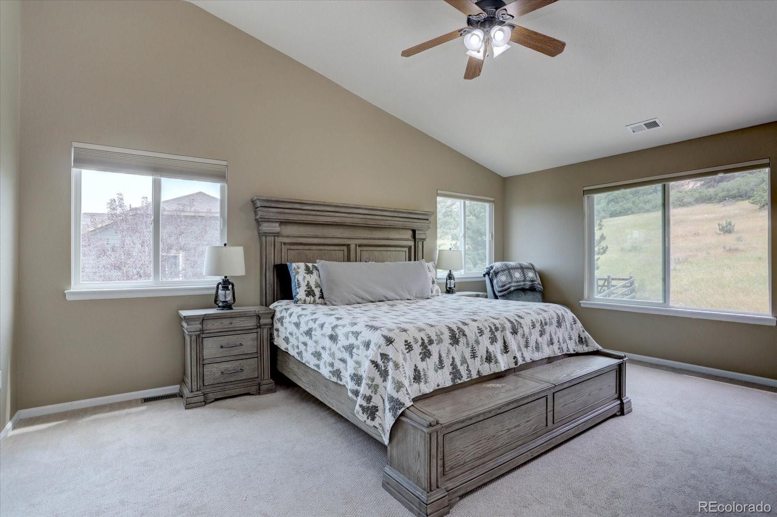 MLS Image #22 for 7217  red mesa court,littleton, Colorado