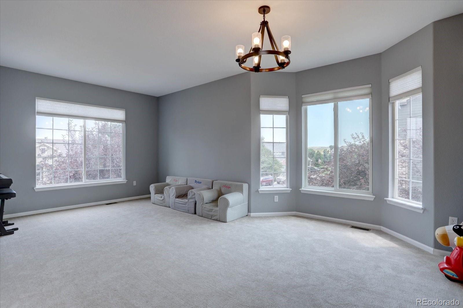 MLS Image #7 for 7217  red mesa court,littleton, Colorado