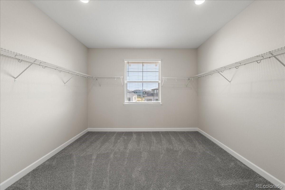 MLS Image #22 for 1335  alyssa drive,timnath, Colorado
