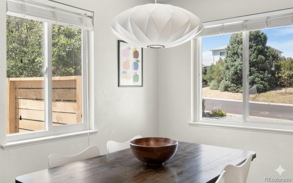 MLS Image #9 for 740 s shoshone street,denver, Colorado