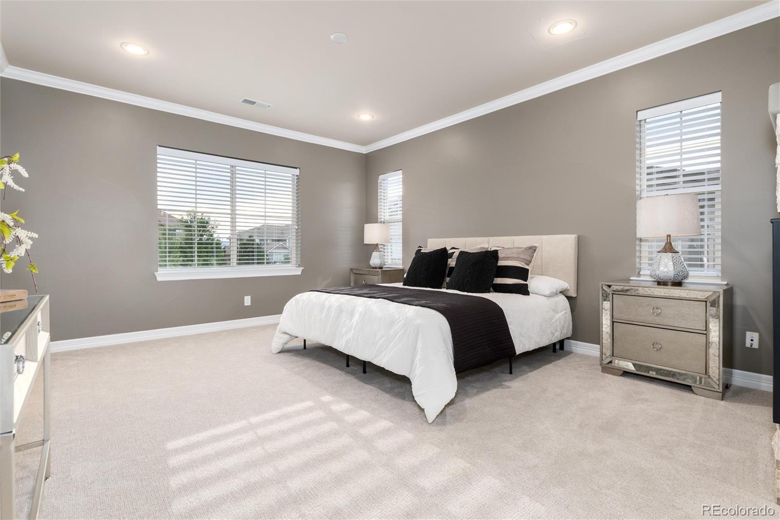 MLS Image #9 for 10703  braesheather court,highlands ranch, Colorado