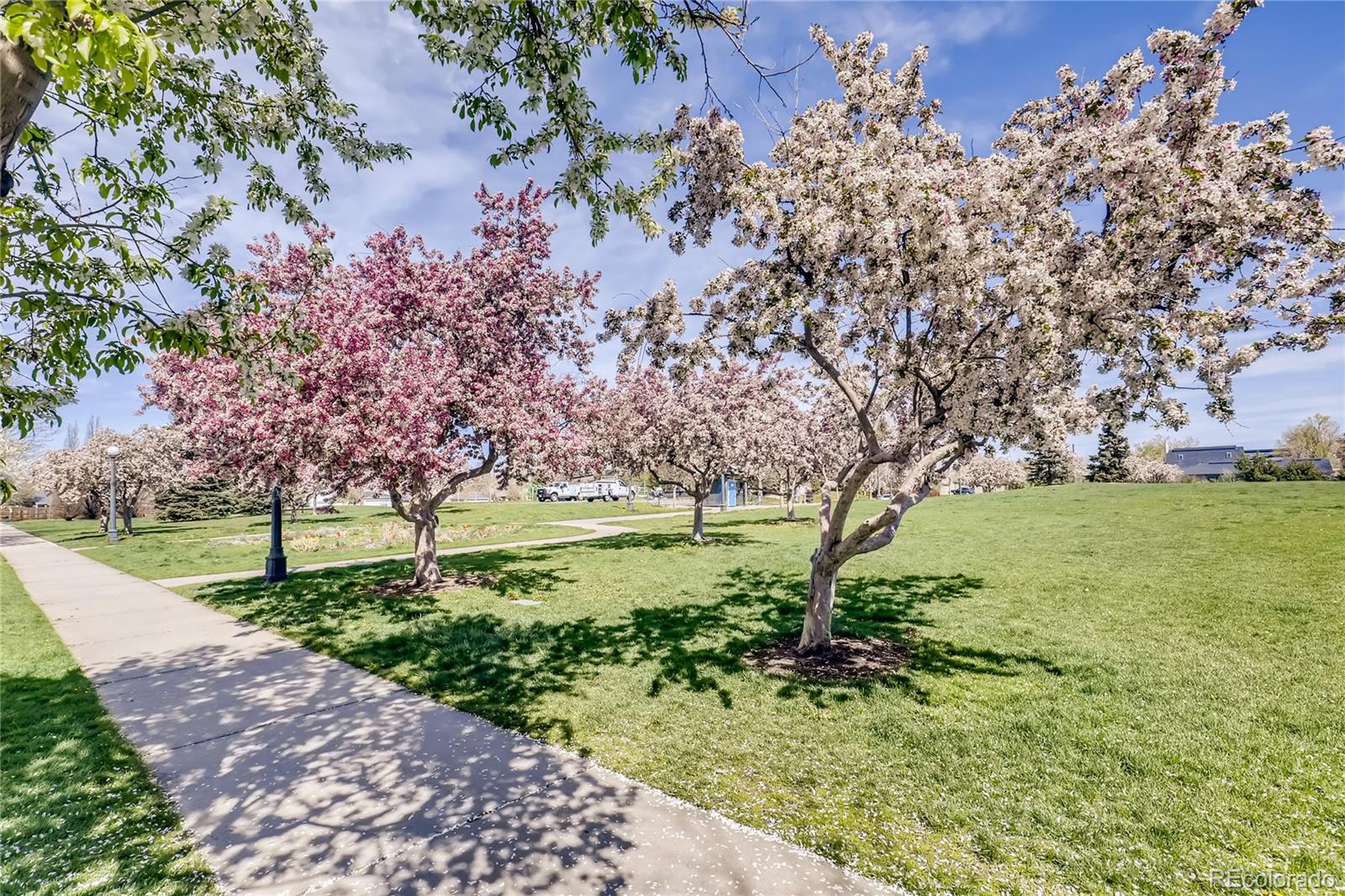 MLS Image #1 for 1038  jasmine street,denver, Colorado