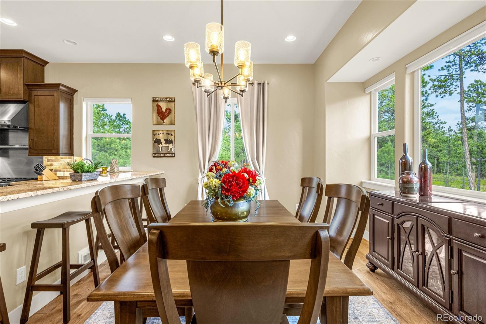 MLS Image #12 for 1325  boldmere court,monument, Colorado