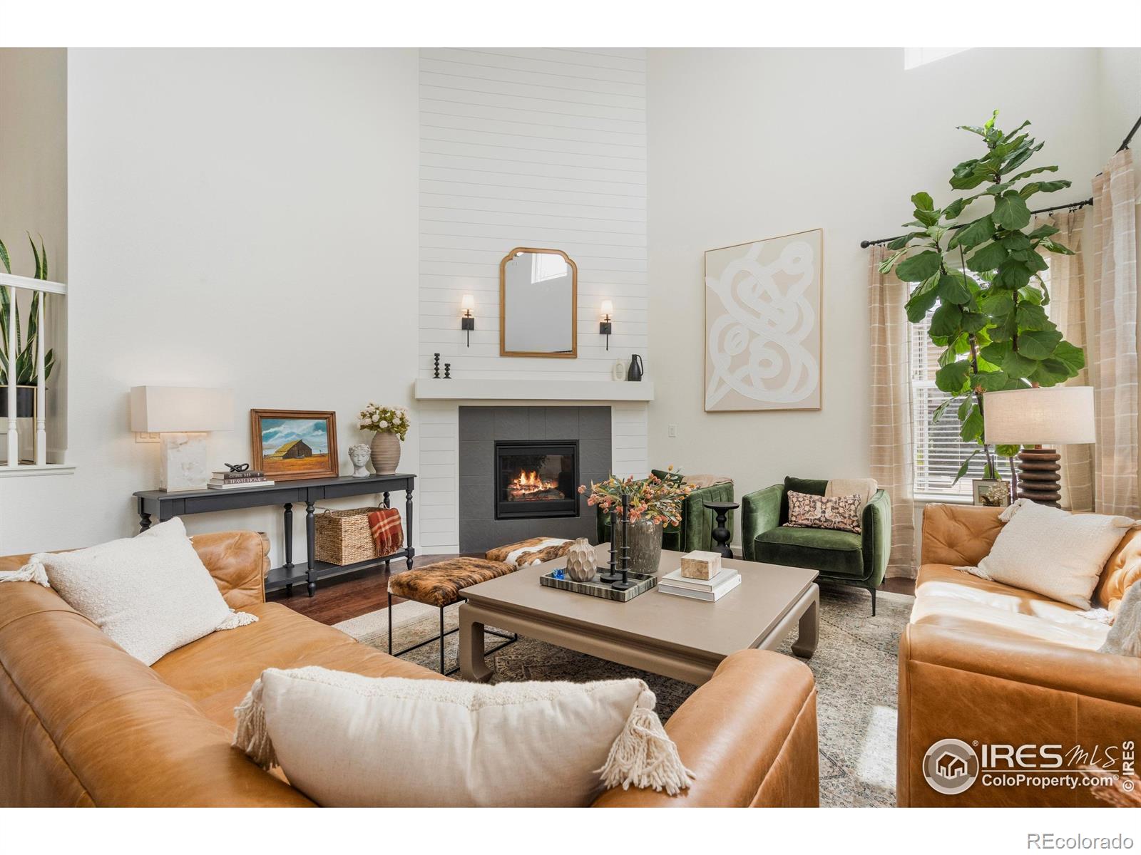 MLS Image #11 for 2313  lodgepole creek drive,fort collins, Colorado