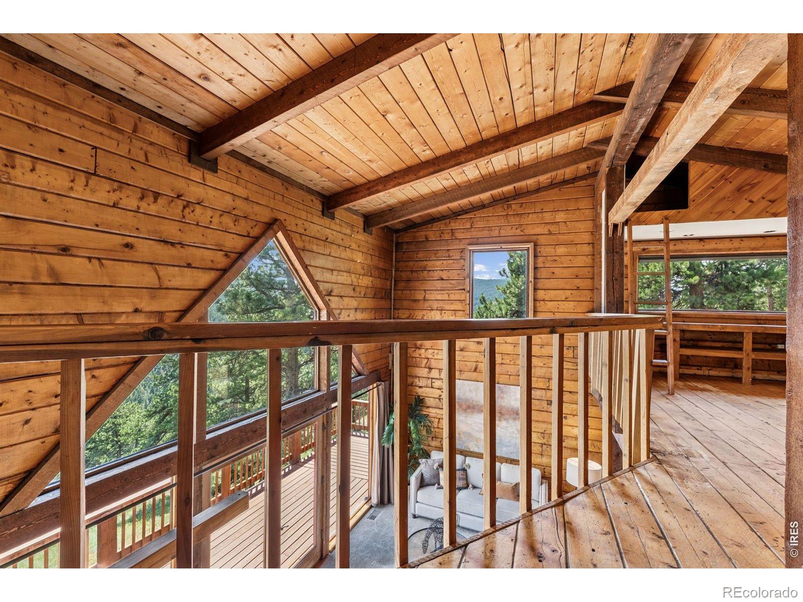 MLS Image #22 for 3907  ridge road,nederland, Colorado