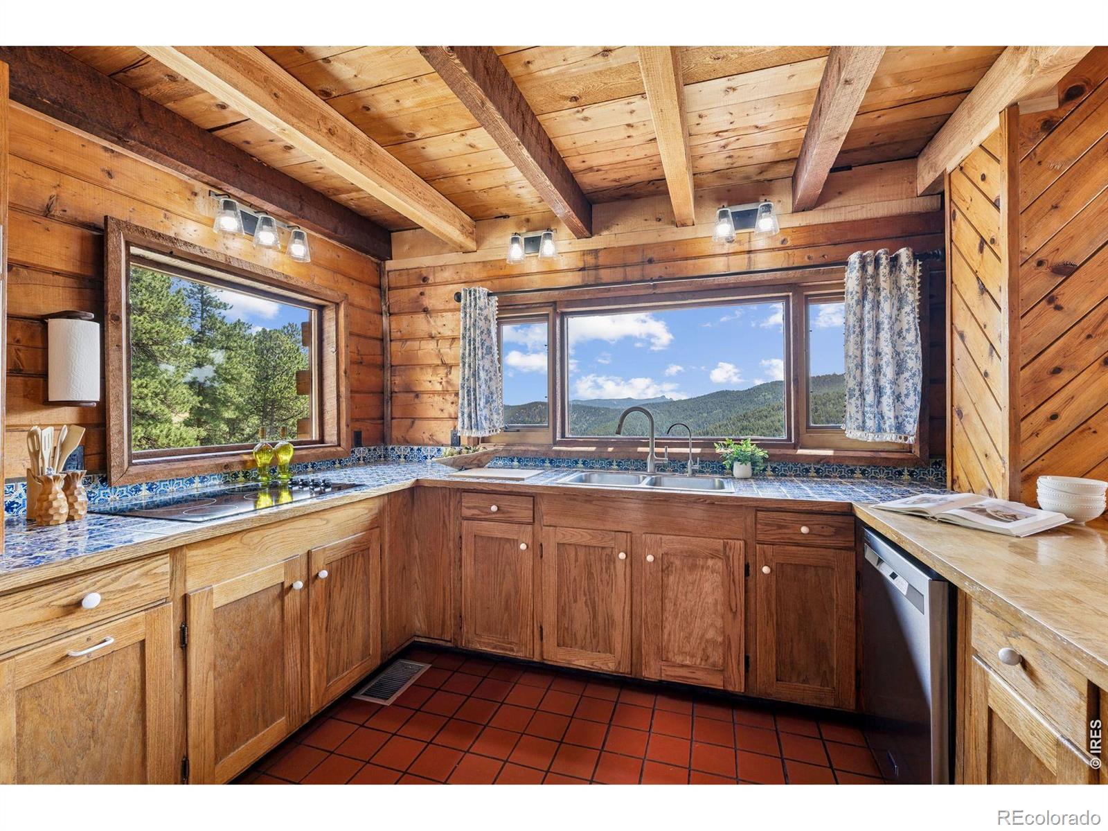 MLS Image #3 for 3907  ridge road,nederland, Colorado