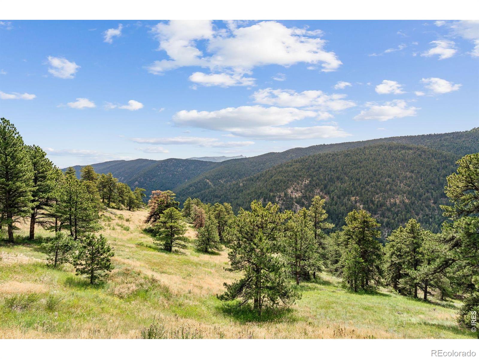 MLS Image #39 for 3907  ridge road,nederland, Colorado