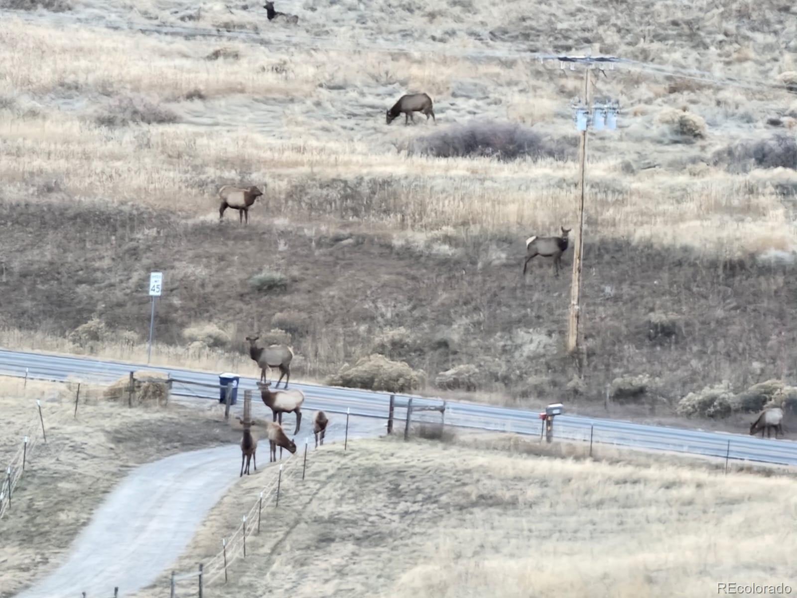MLS Image #46 for 940 s county road 29 ,loveland, Colorado