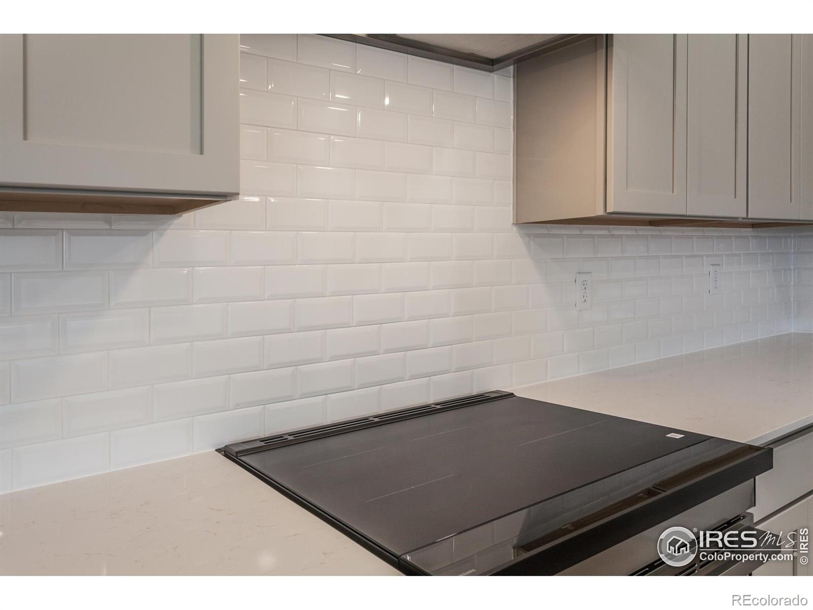 MLS Image #13 for 6113  saddle horn drive,timnath, Colorado