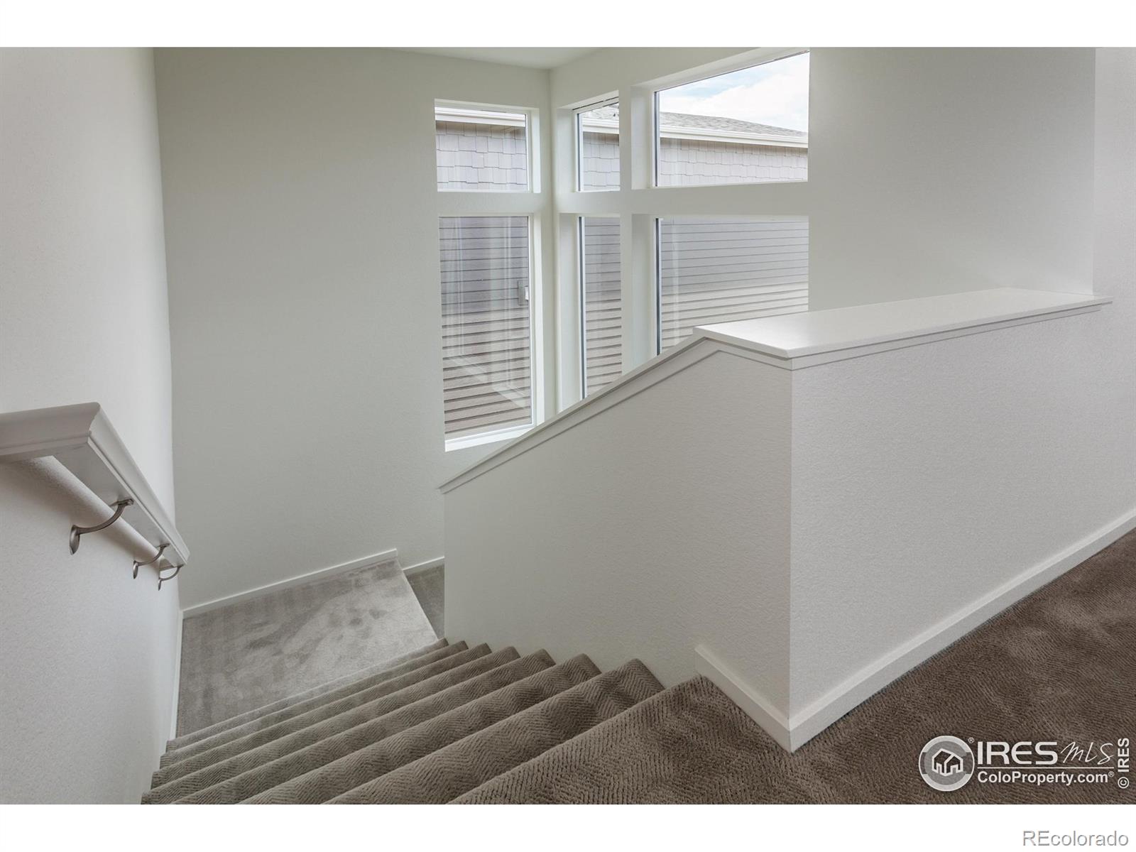MLS Image #16 for 6113  saddle horn drive,timnath, Colorado