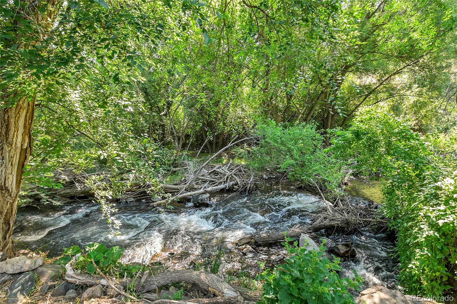 MLS Image #2 for 21938  miller lane,idledale, Colorado
