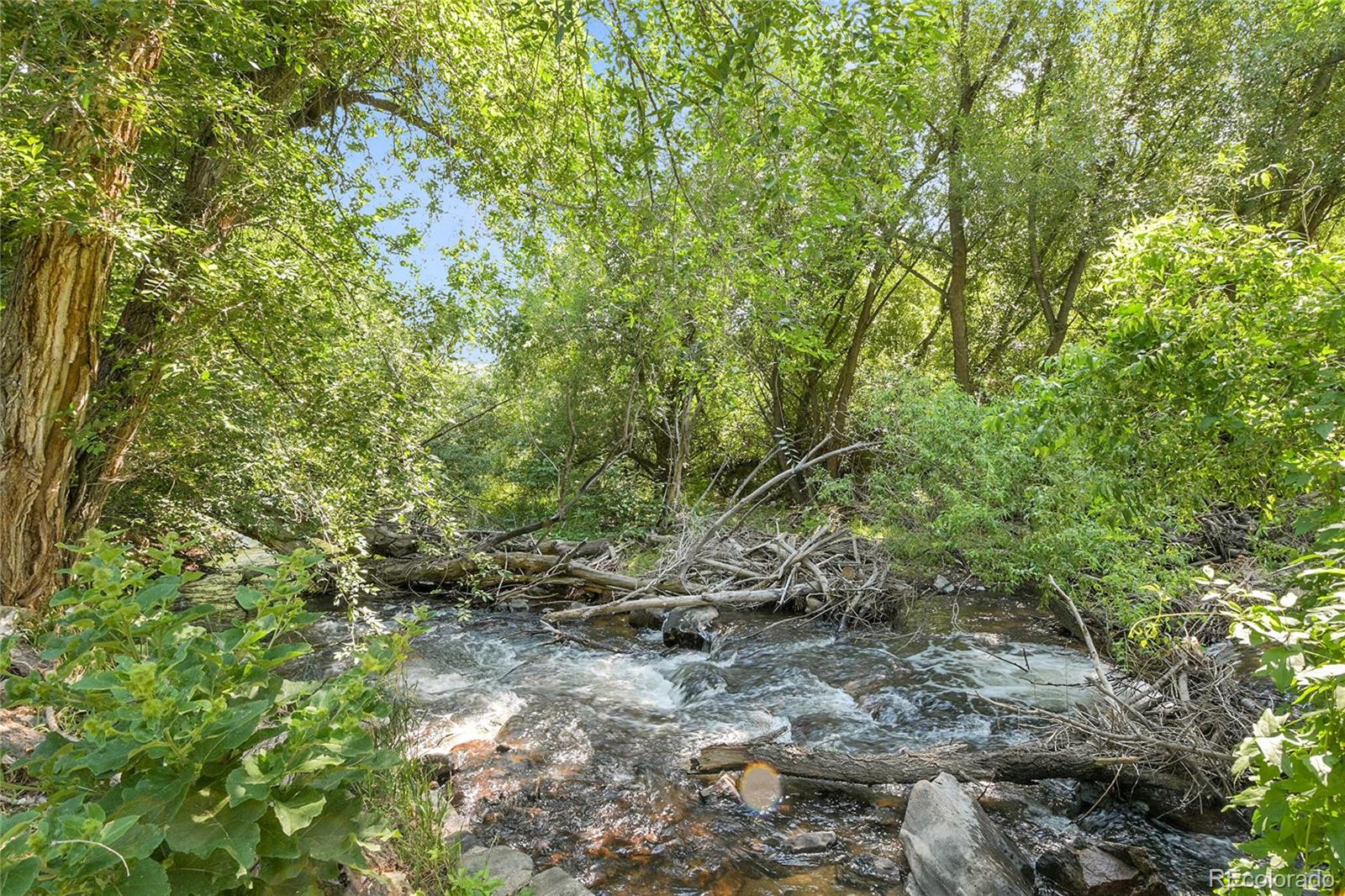 MLS Image #42 for 21938  miller lane,idledale, Colorado