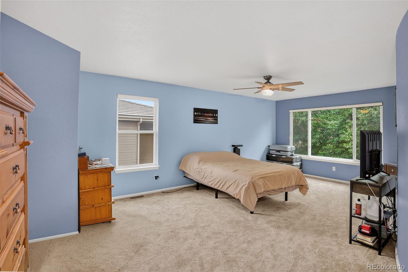 MLS Image #16 for 2174  cactus bluff avenue,highlands ranch, Colorado