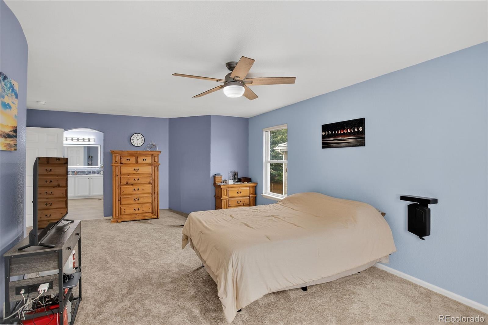 MLS Image #17 for 2174  cactus bluff avenue,highlands ranch, Colorado