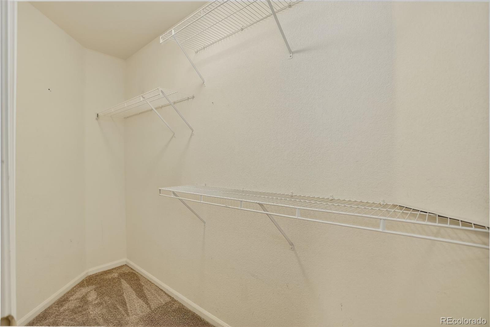 MLS Image #24 for 2174  cactus bluff avenue,highlands ranch, Colorado