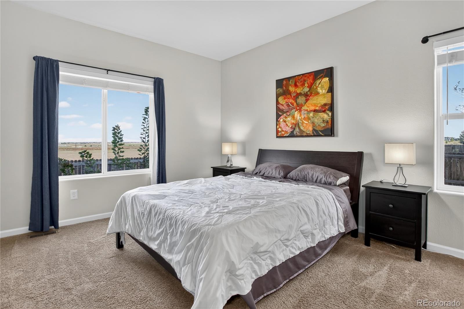 MLS Image #15 for 525  colins court,dacono, Colorado