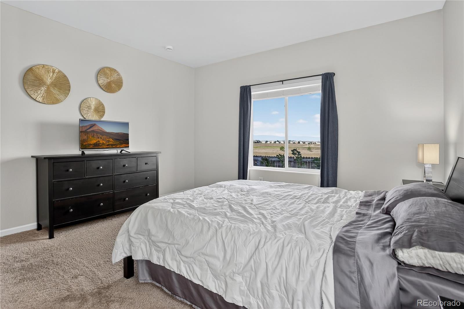 MLS Image #16 for 525  colins court,dacono, Colorado