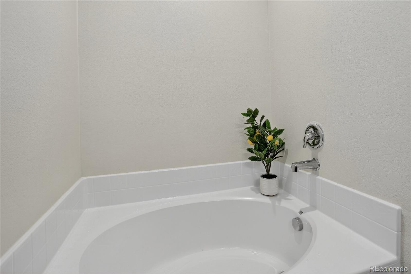 MLS Image #21 for 525  colins court,dacono, Colorado