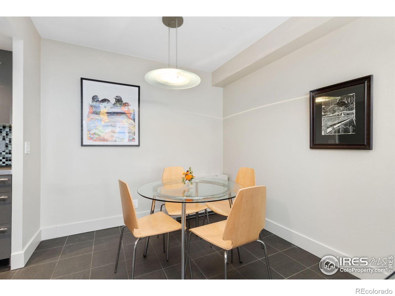 MLS Image #10 for 421 s howes street,fort collins, Colorado