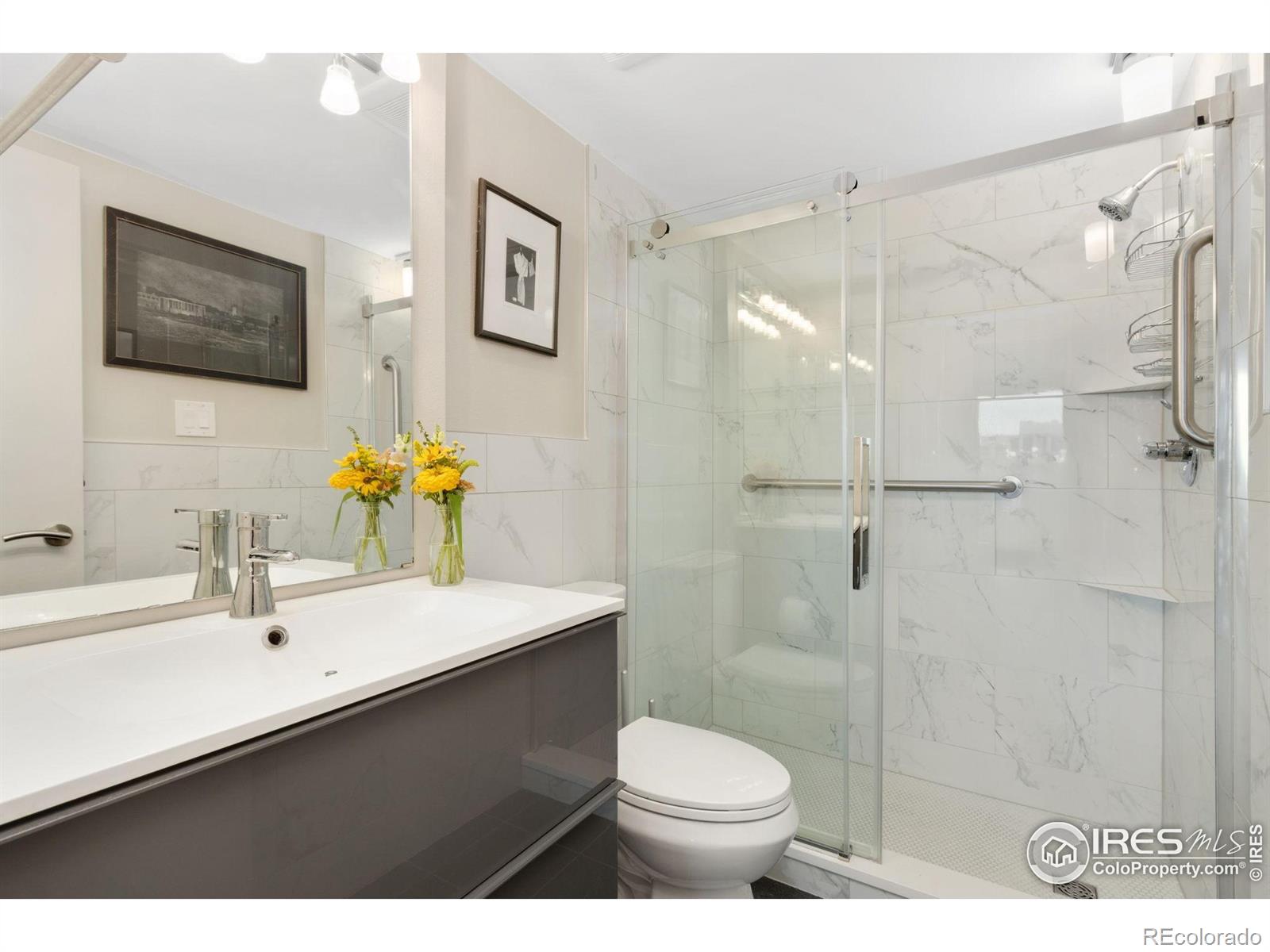 MLS Image #12 for 421 s howes street,fort collins, Colorado