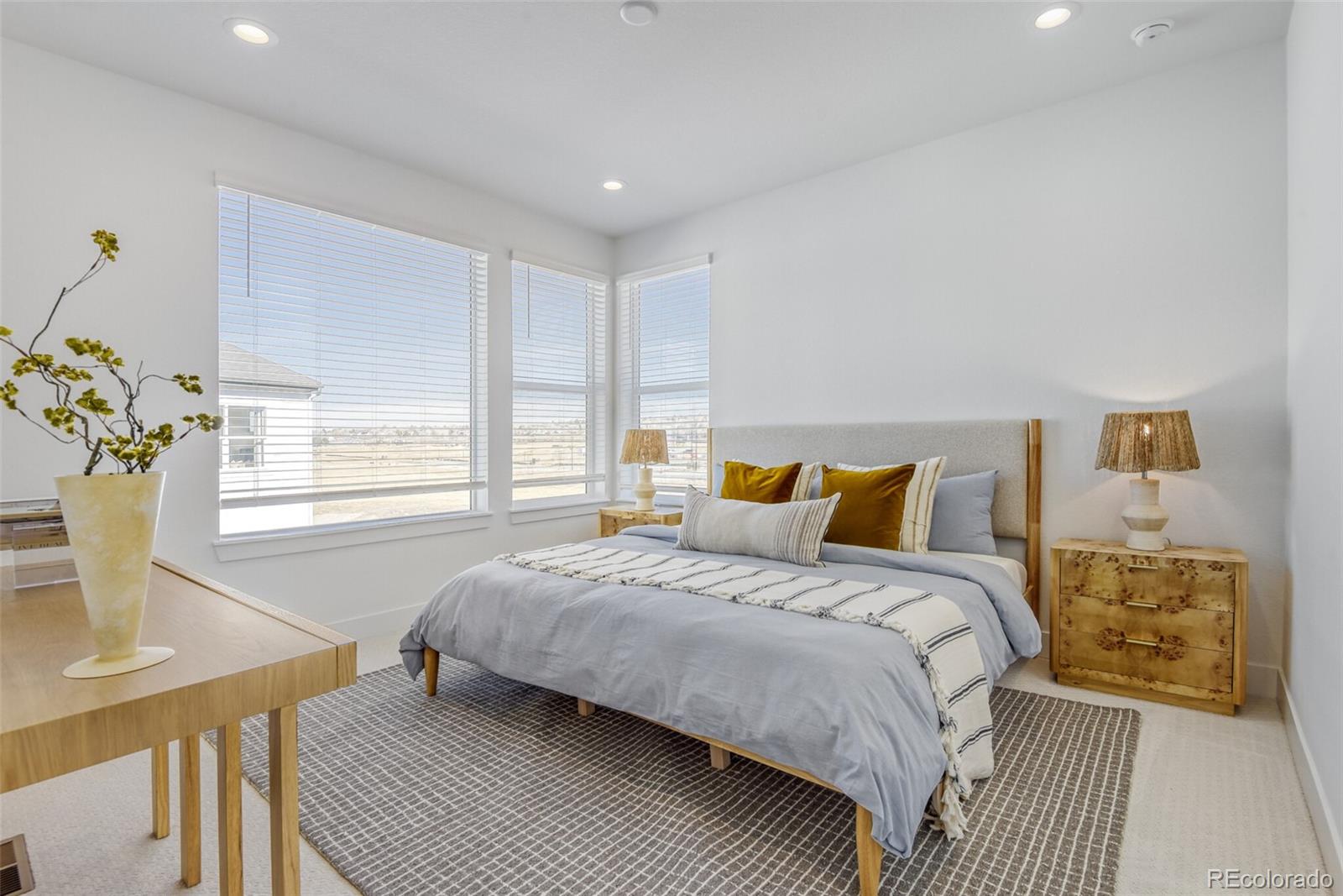 MLS Image #18 for 7740 s irving street,littleton, Colorado