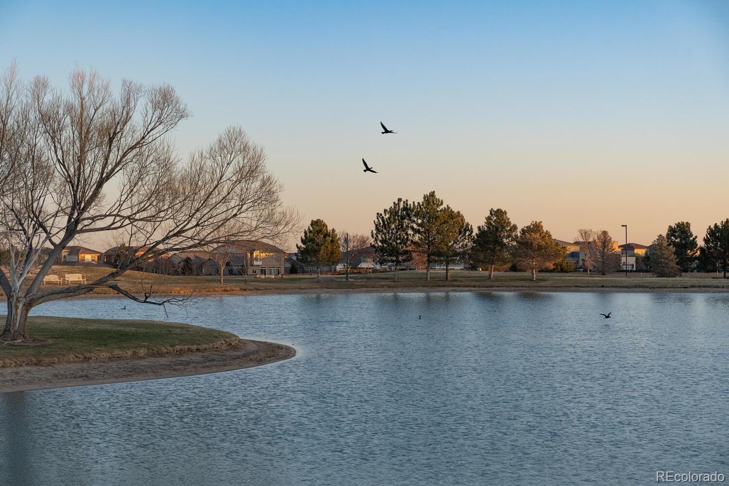 MLS Image #17 for 10178  scranton court,commerce city, Colorado