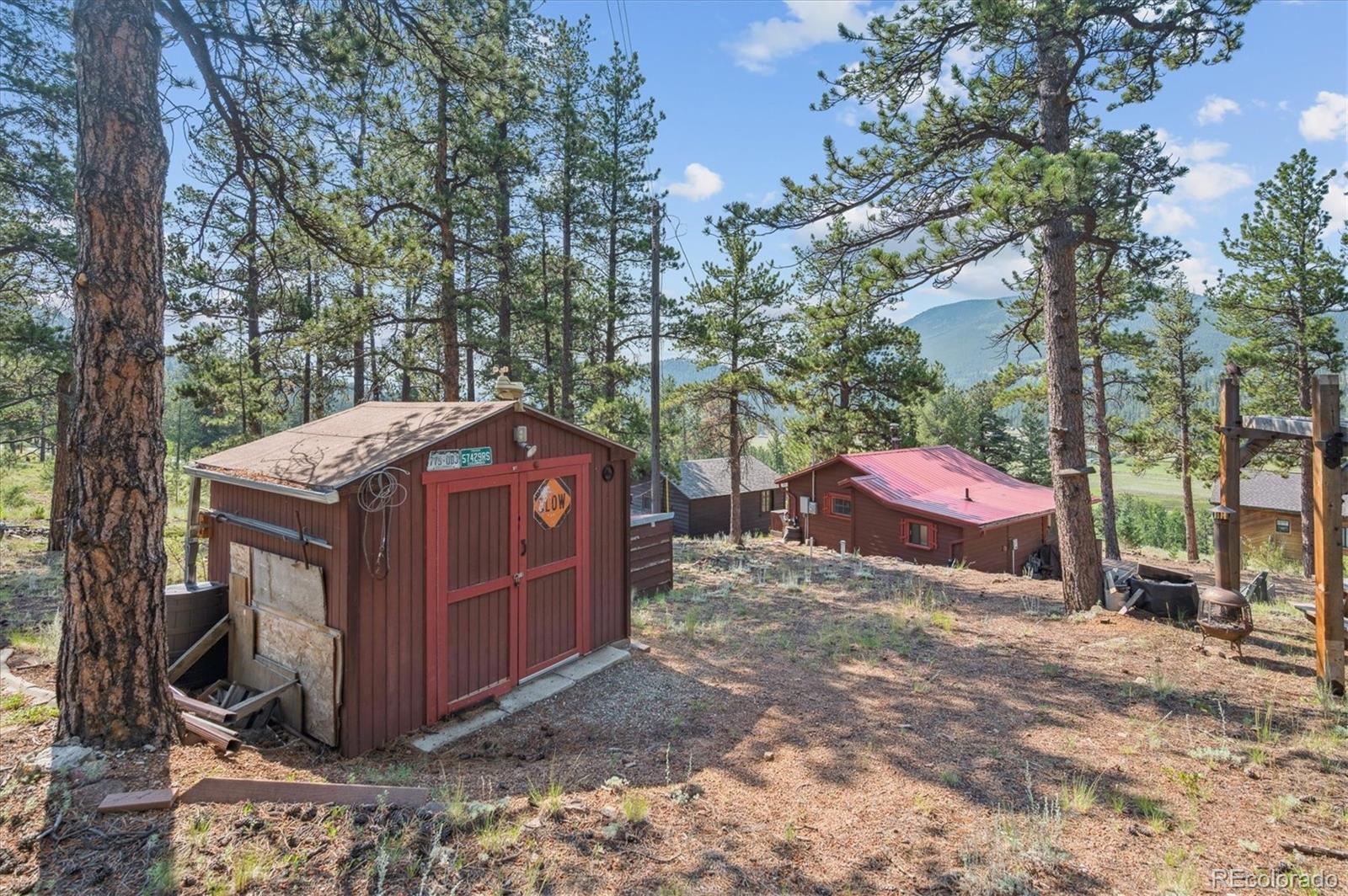 MLS Image #16 for 990  road p69 ,bailey, Colorado