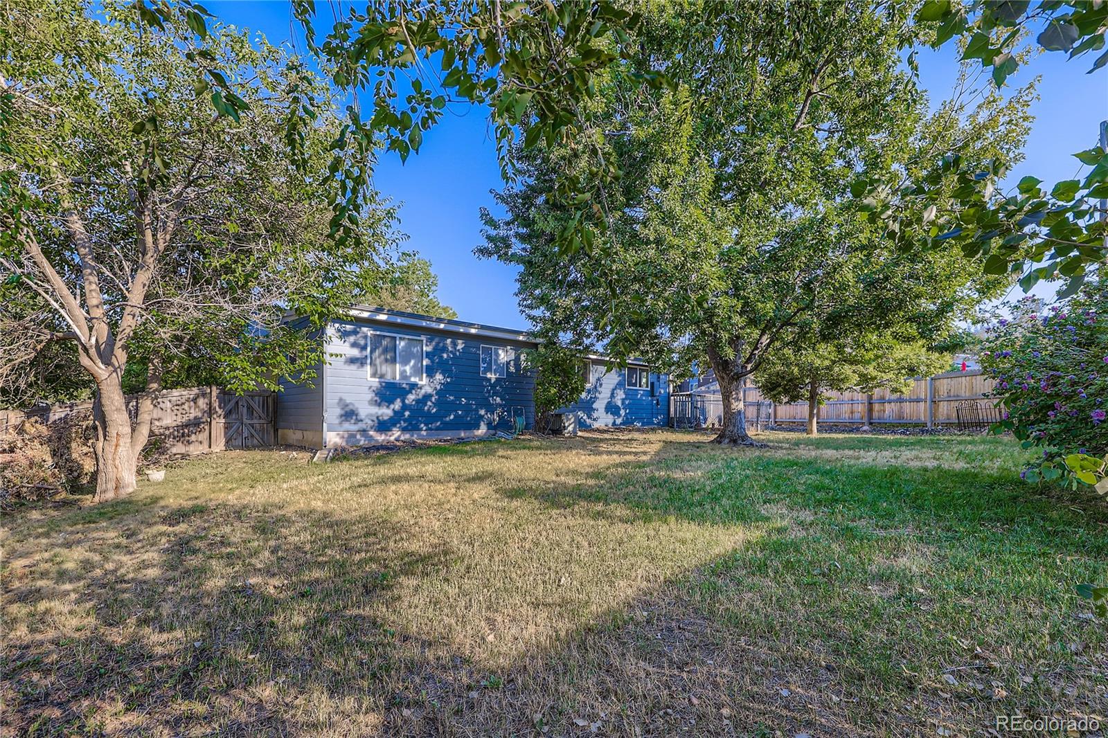 MLS Image #20 for 751  beech street,lakewood, Colorado