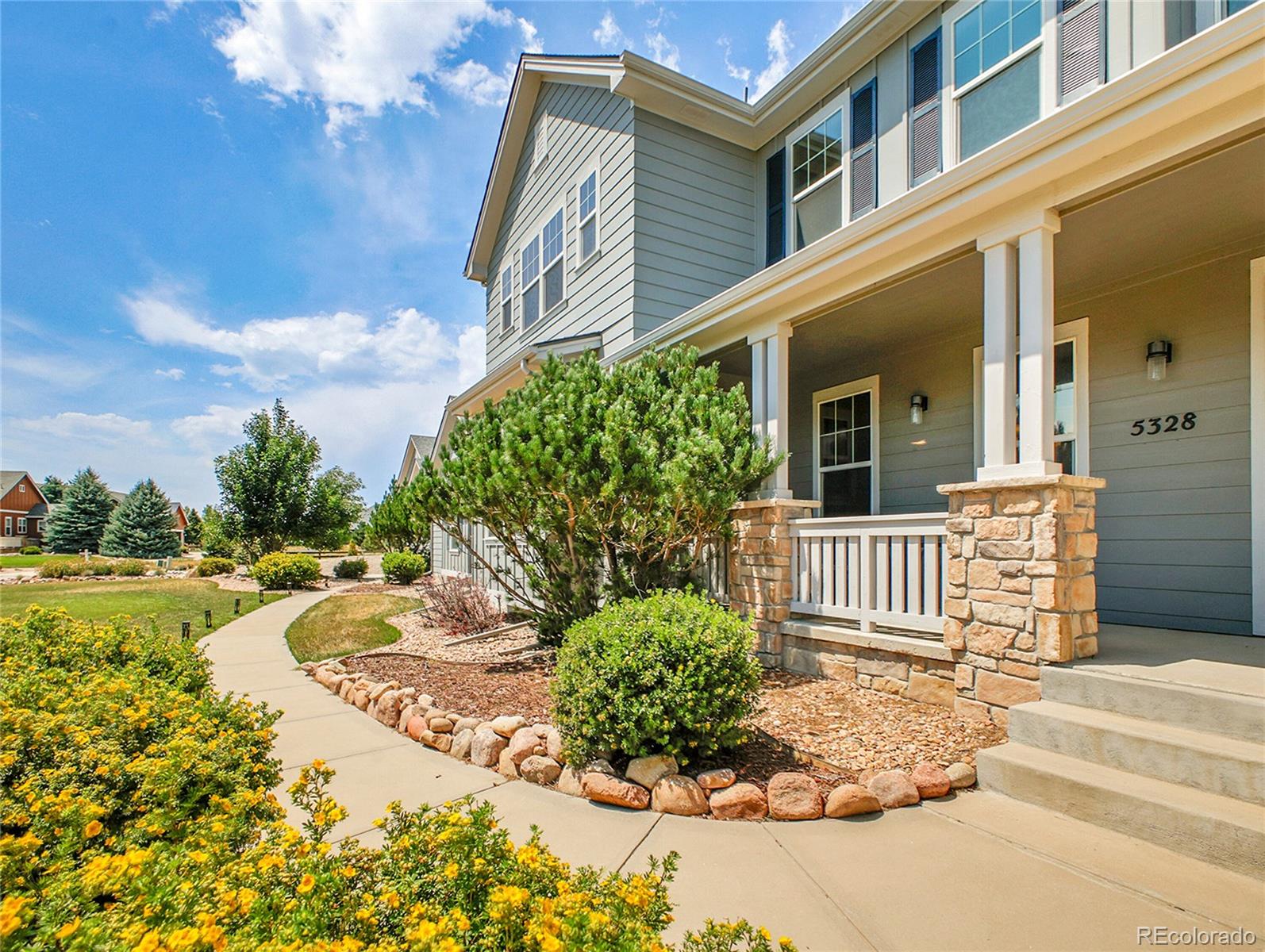MLS Image #5 for 5328  danvers court,castle rock, Colorado