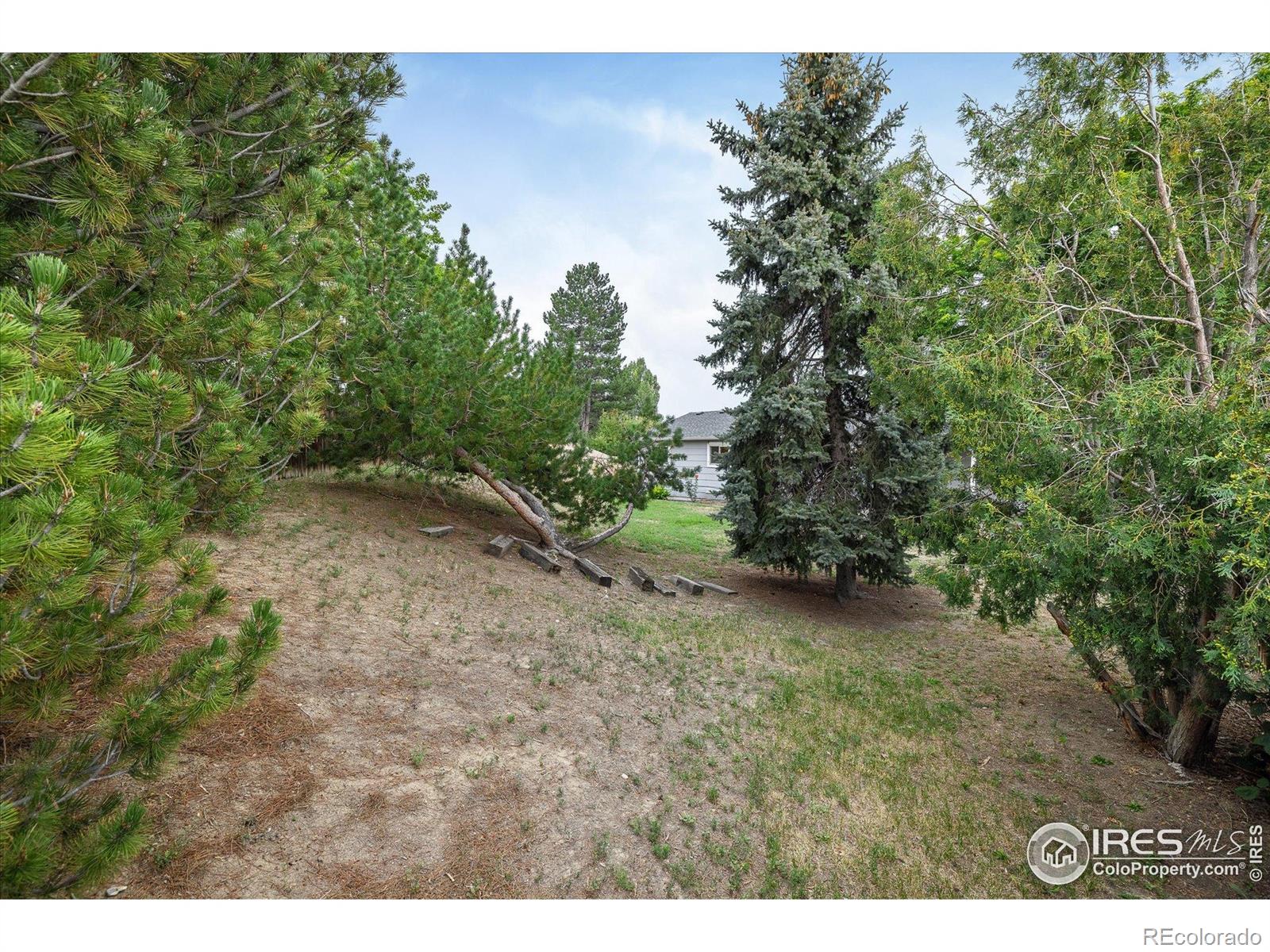 MLS Image #29 for 6220 w 74th circle,arvada, Colorado