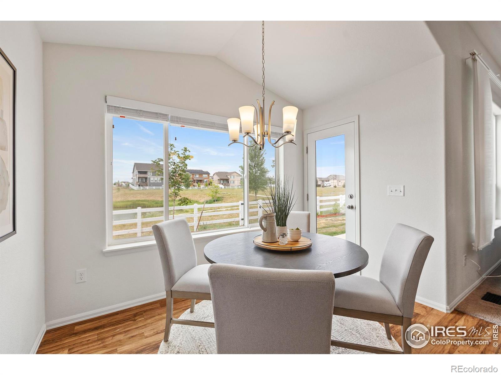 MLS Image #14 for 923  barasingha street,severance, Colorado