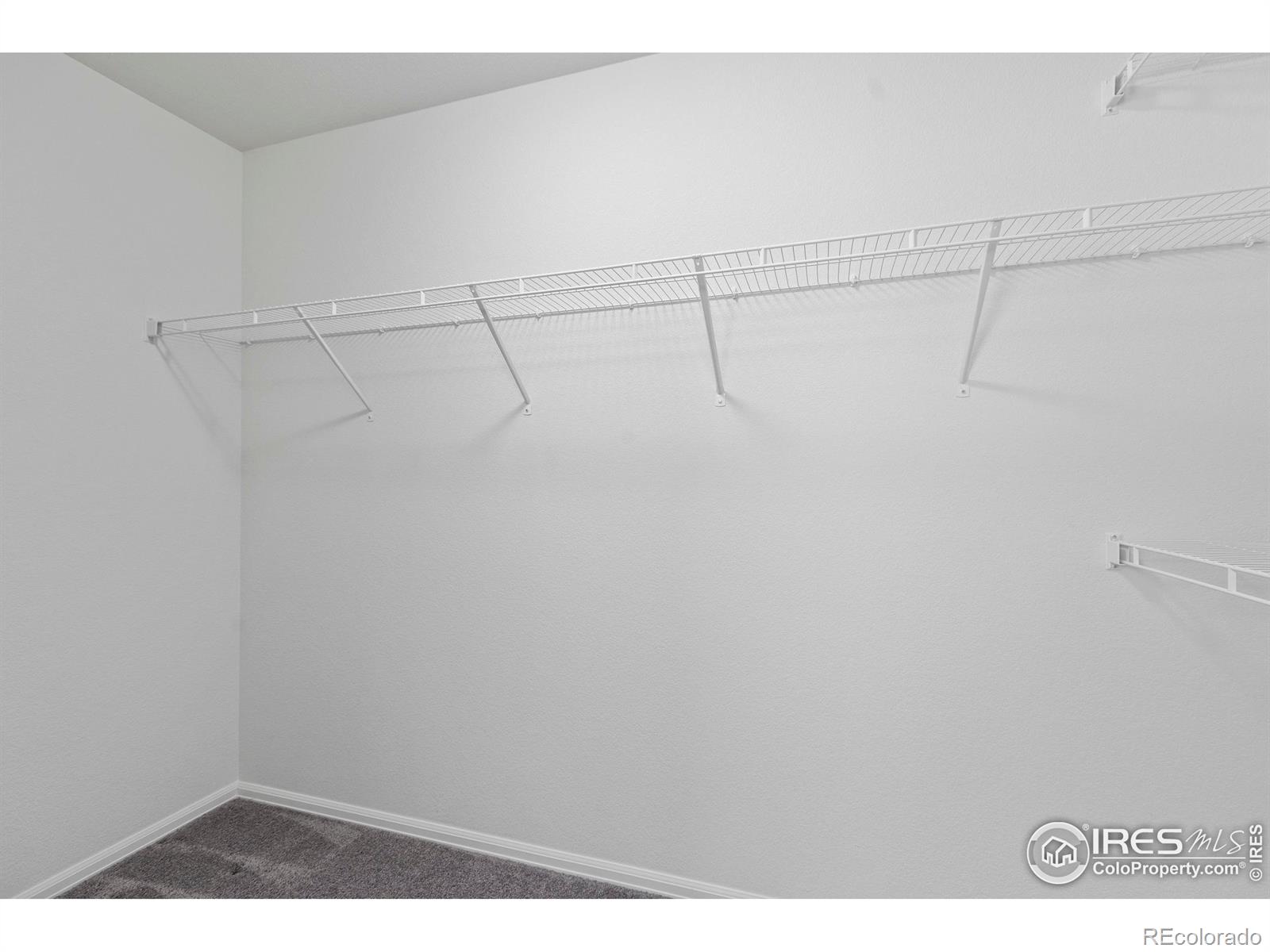 MLS Image #20 for 923  barasingha street,severance, Colorado