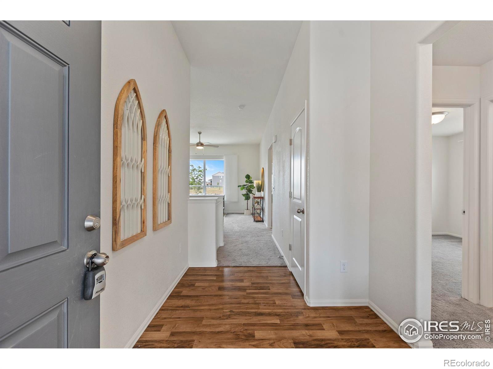 MLS Image #3 for 923  barasingha street,severance, Colorado