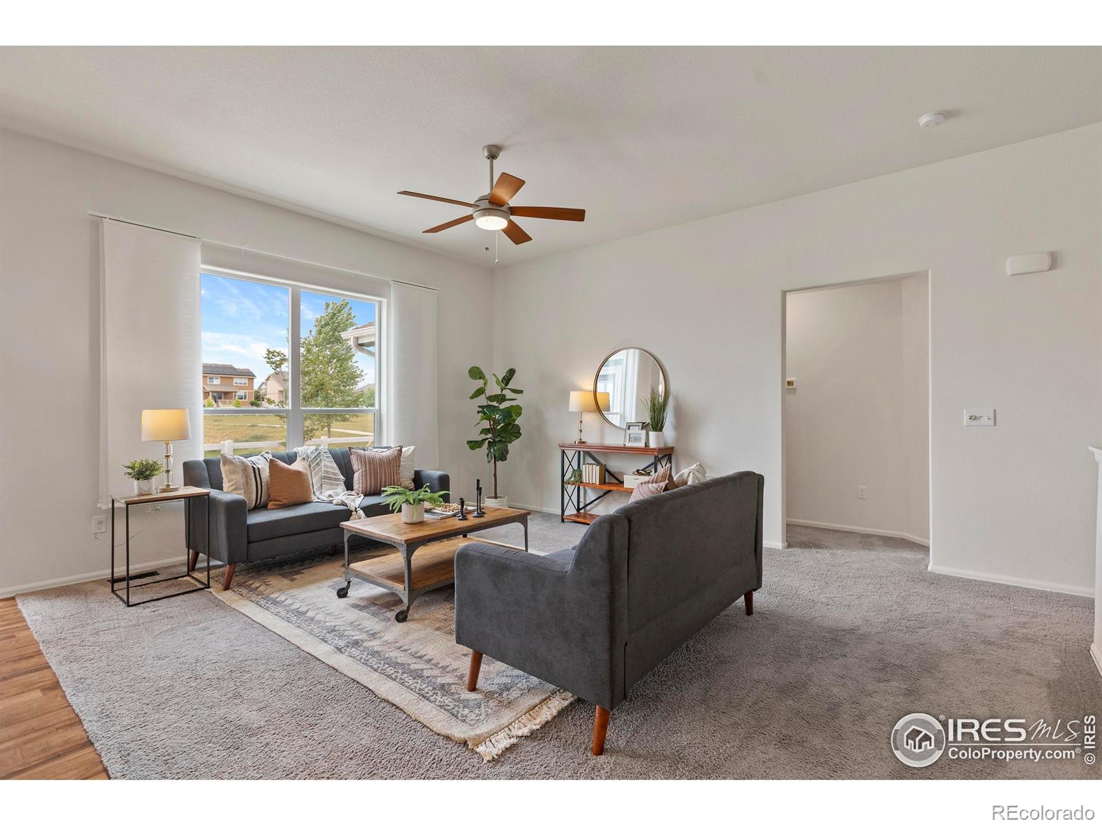MLS Image #8 for 923  barasingha street,severance, Colorado