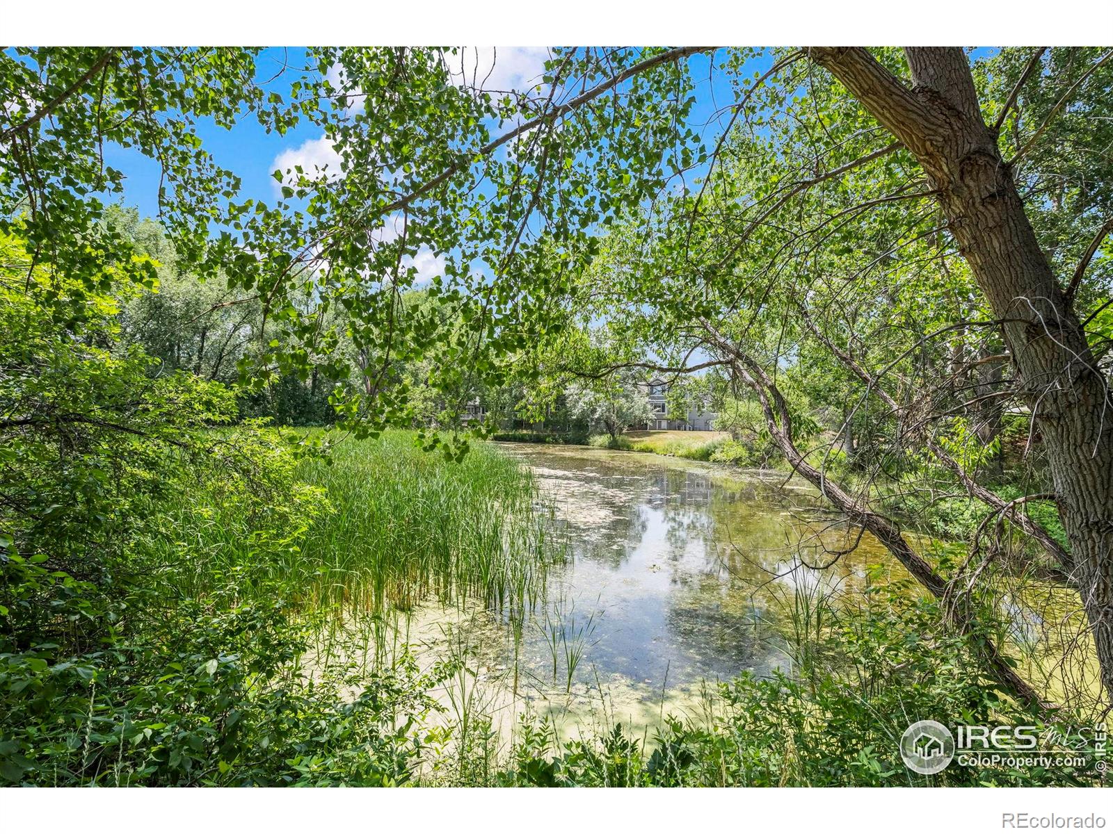 MLS Image #31 for 4758  franklin drive,boulder, Colorado