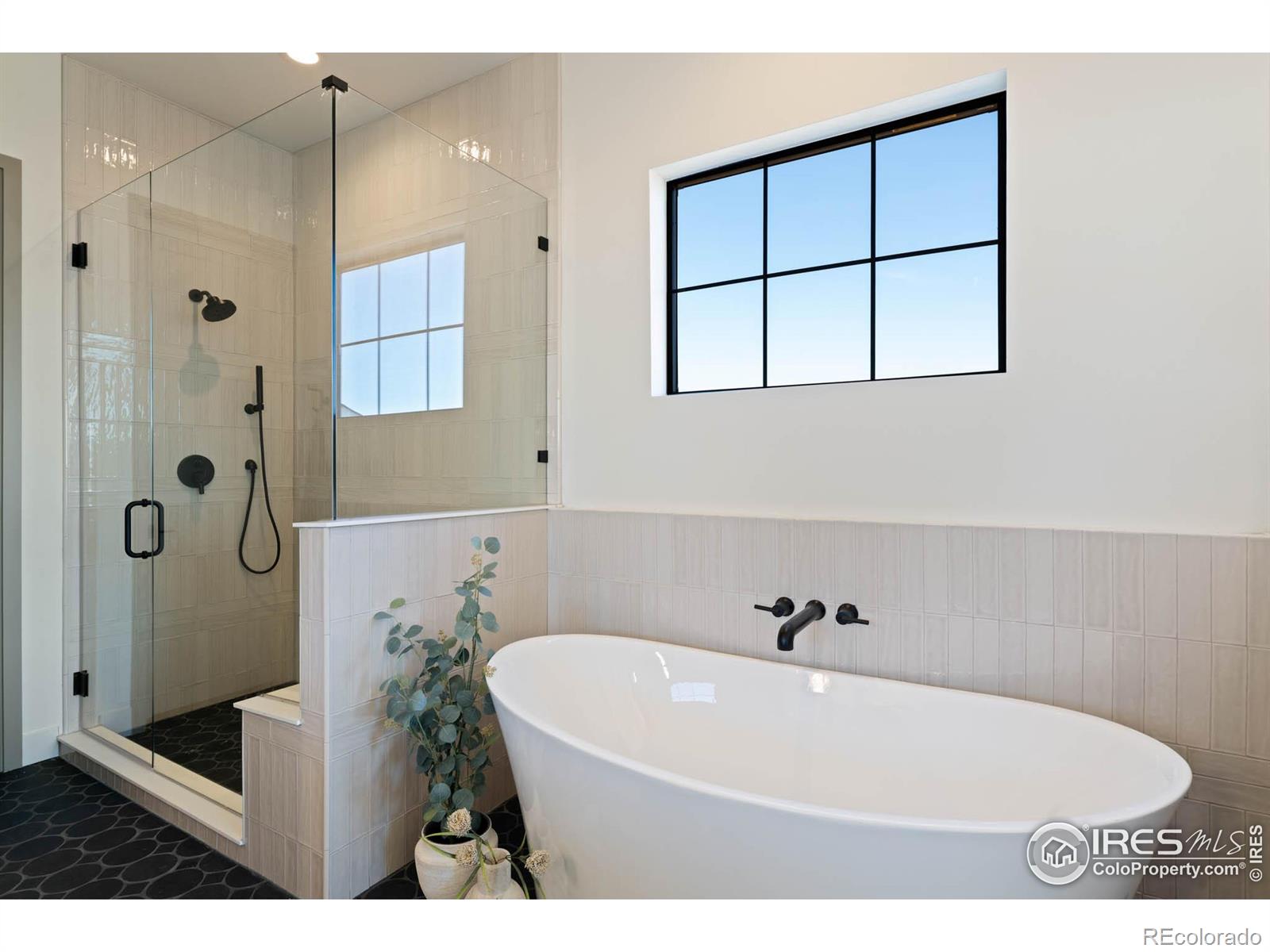 MLS Image #16 for 165  boxwood drive,windsor, Colorado