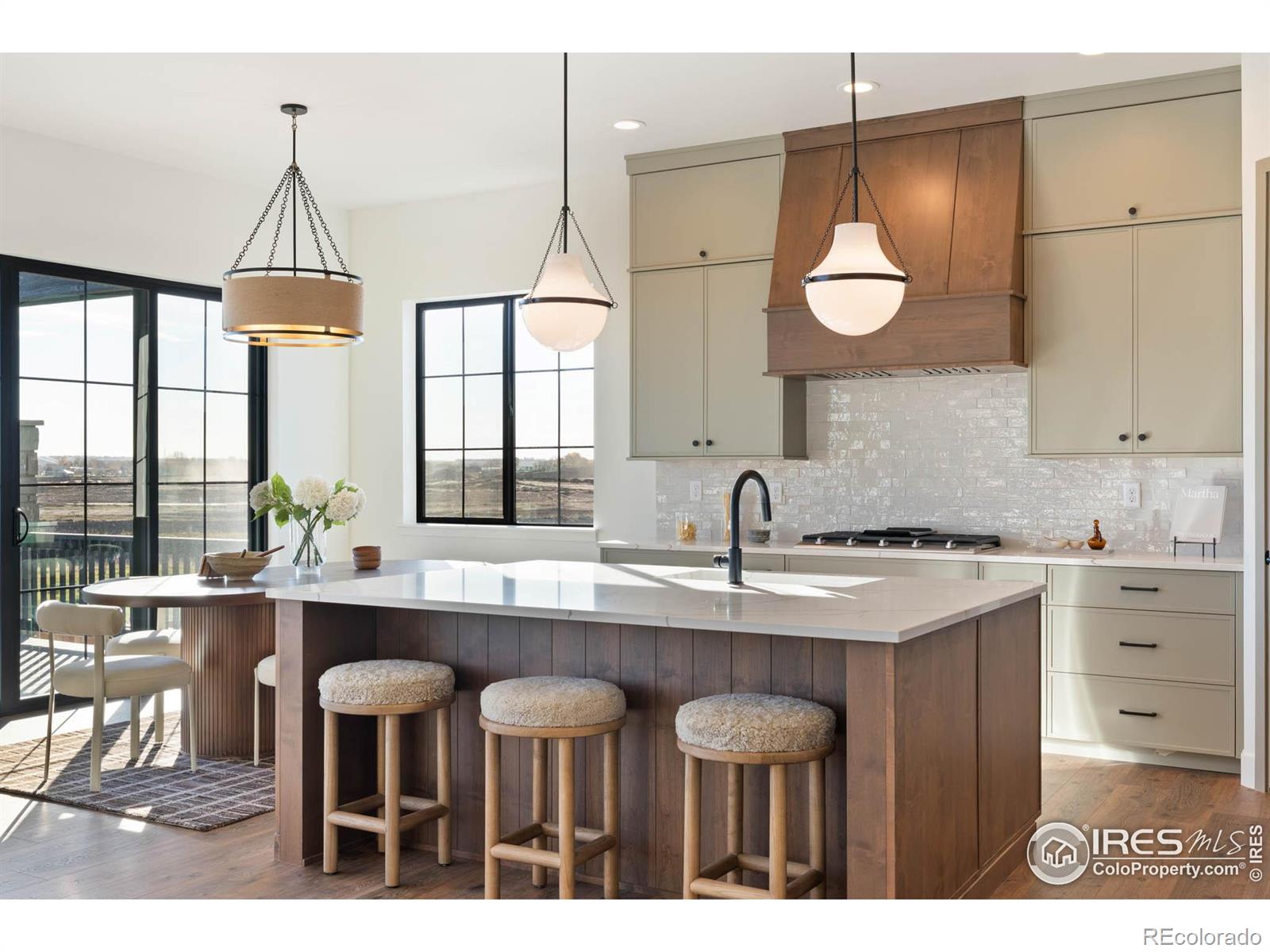 MLS Image #7 for 165  boxwood drive,windsor, Colorado