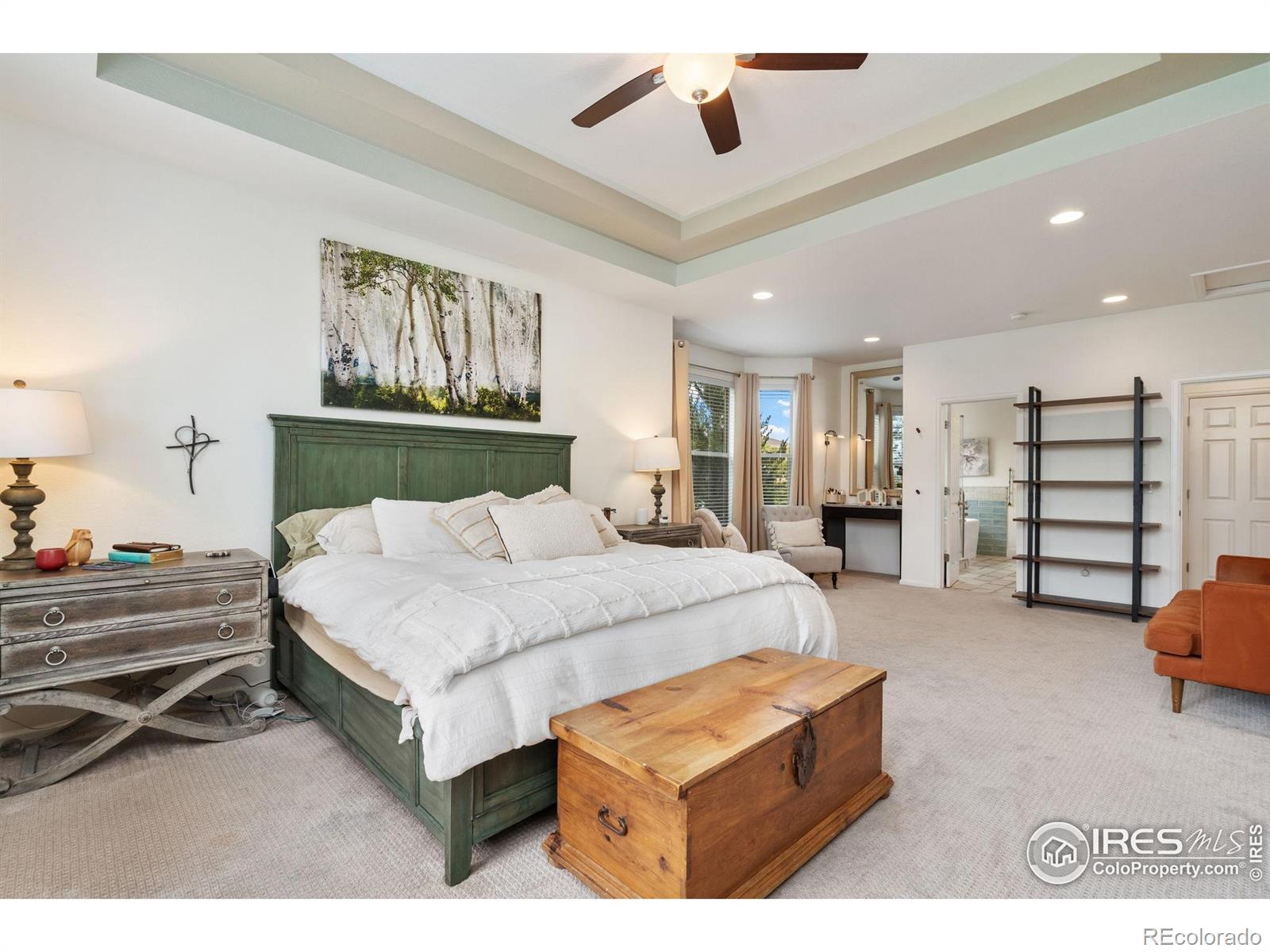 MLS Image #20 for 5381  lulu city drive,timnath, Colorado