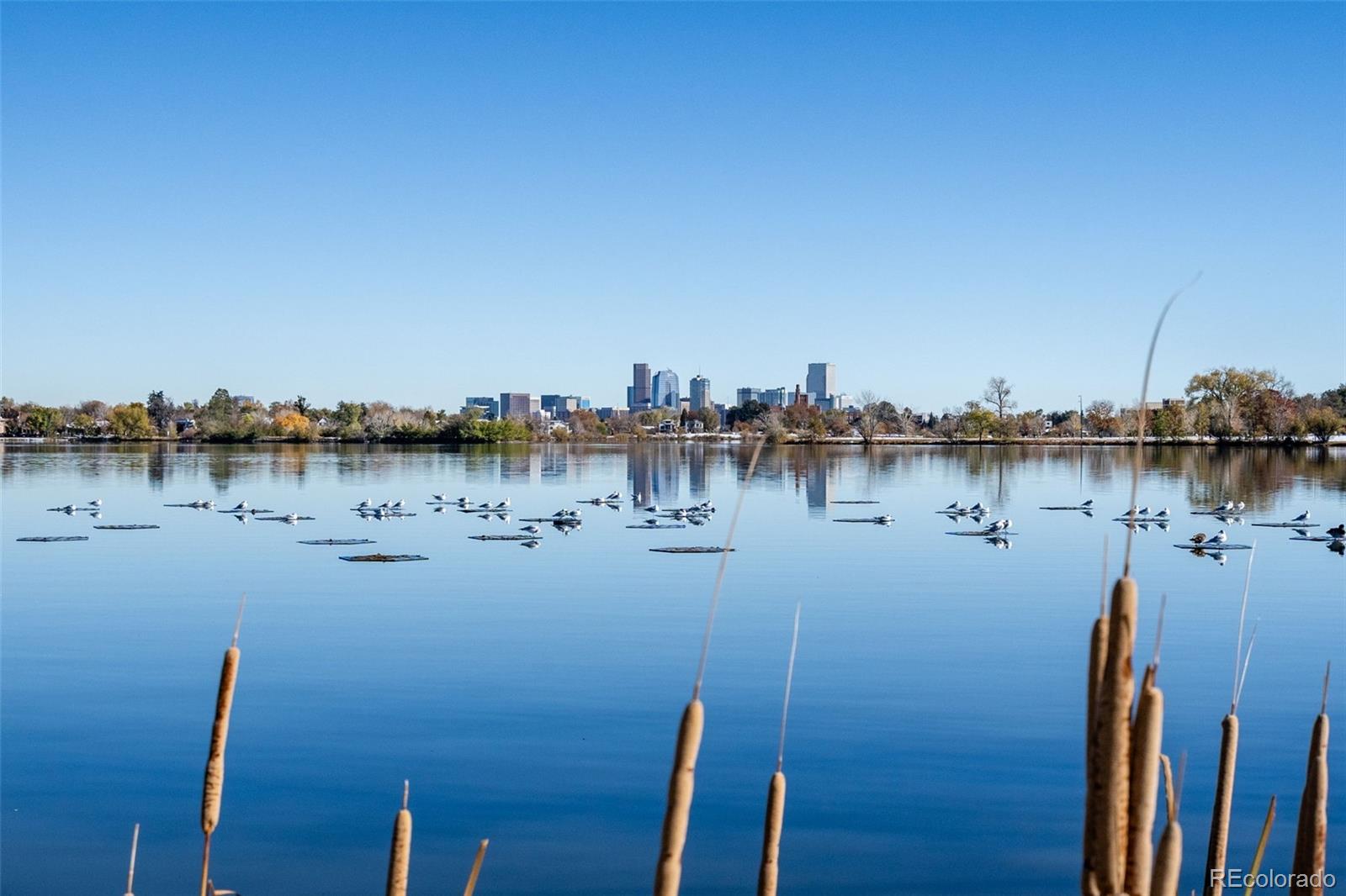 MLS Image #47 for 1477  raleigh street,denver, Colorado