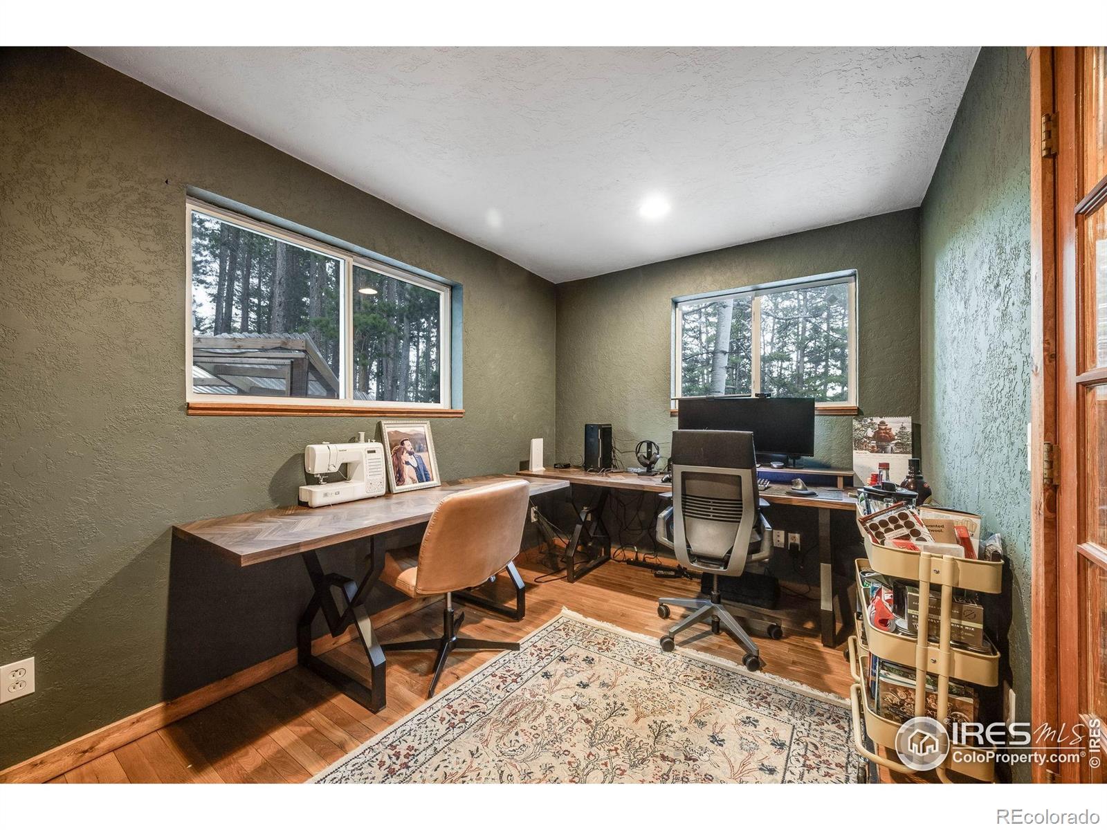 MLS Image #17 for 46  apache road,evergreen, Colorado