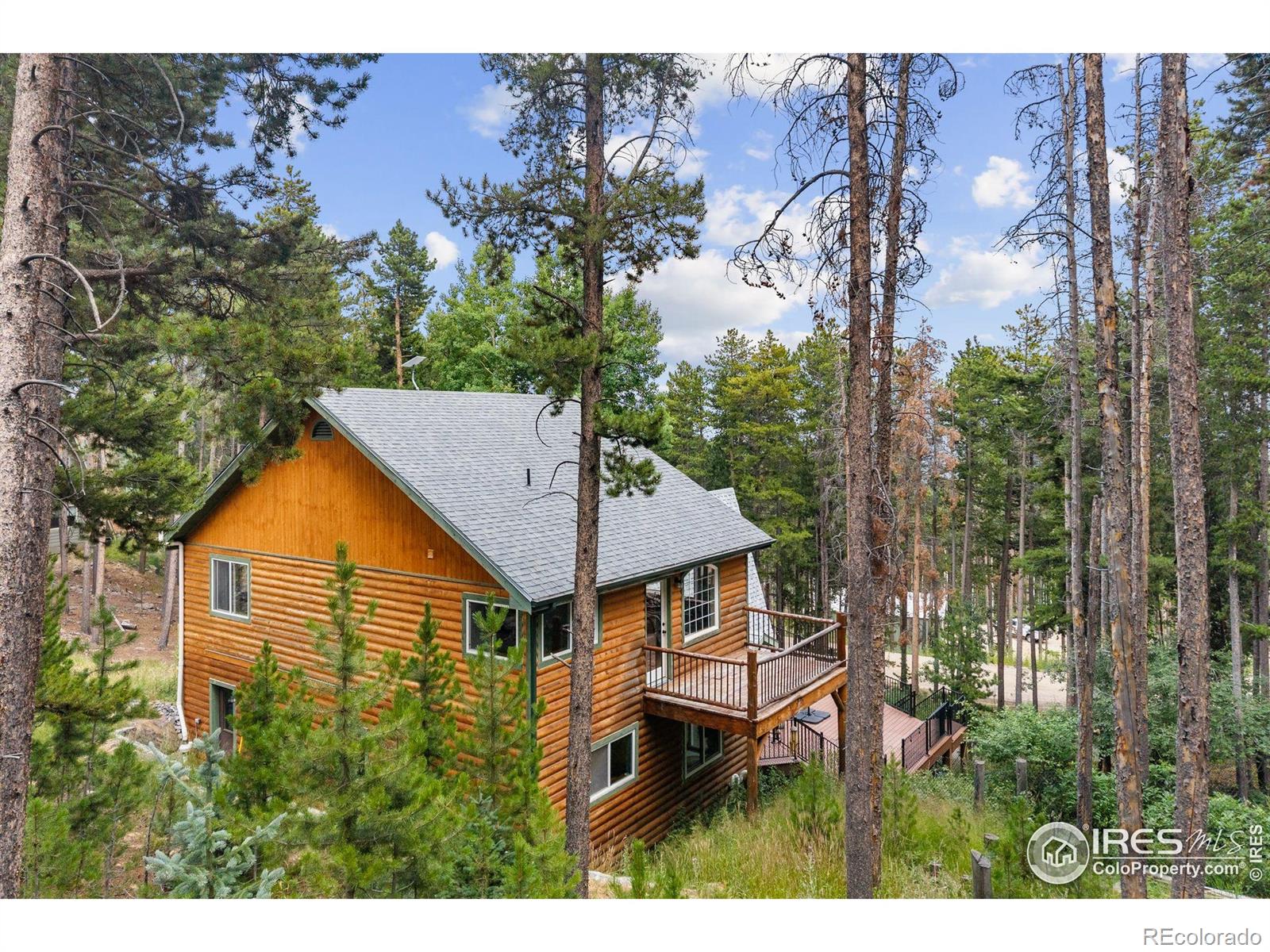 MLS Image #34 for 46  apache road,evergreen, Colorado