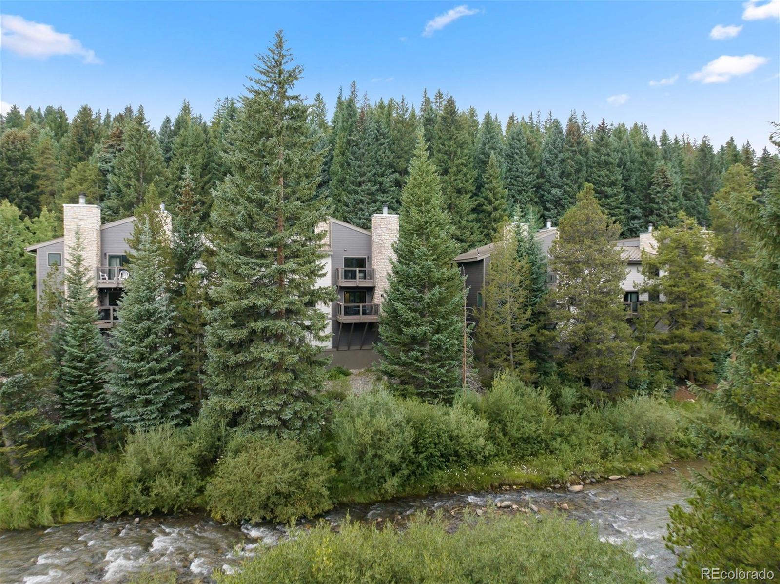 MLS Image #12 for 1374  broken lance drive d,breckenridge, Colorado