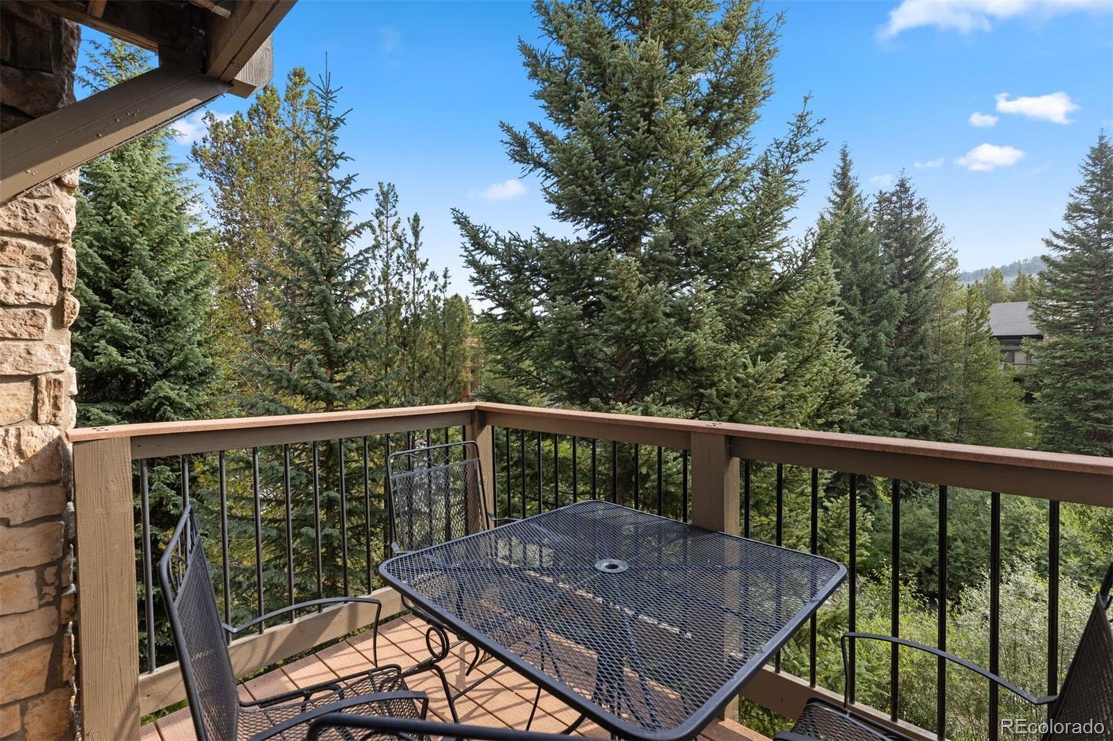 MLS Image #23 for 1374  broken lance drive d,breckenridge, Colorado