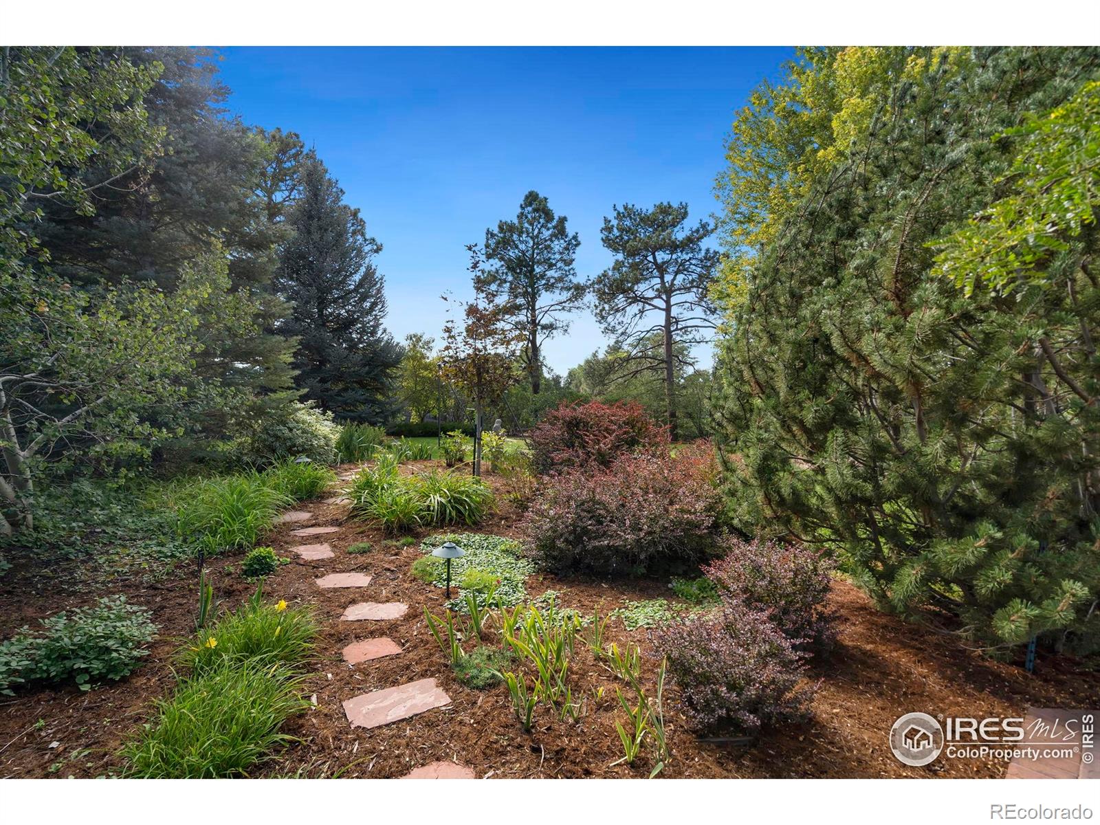 MLS Image #23 for 2000  elbow lane,greeley, Colorado