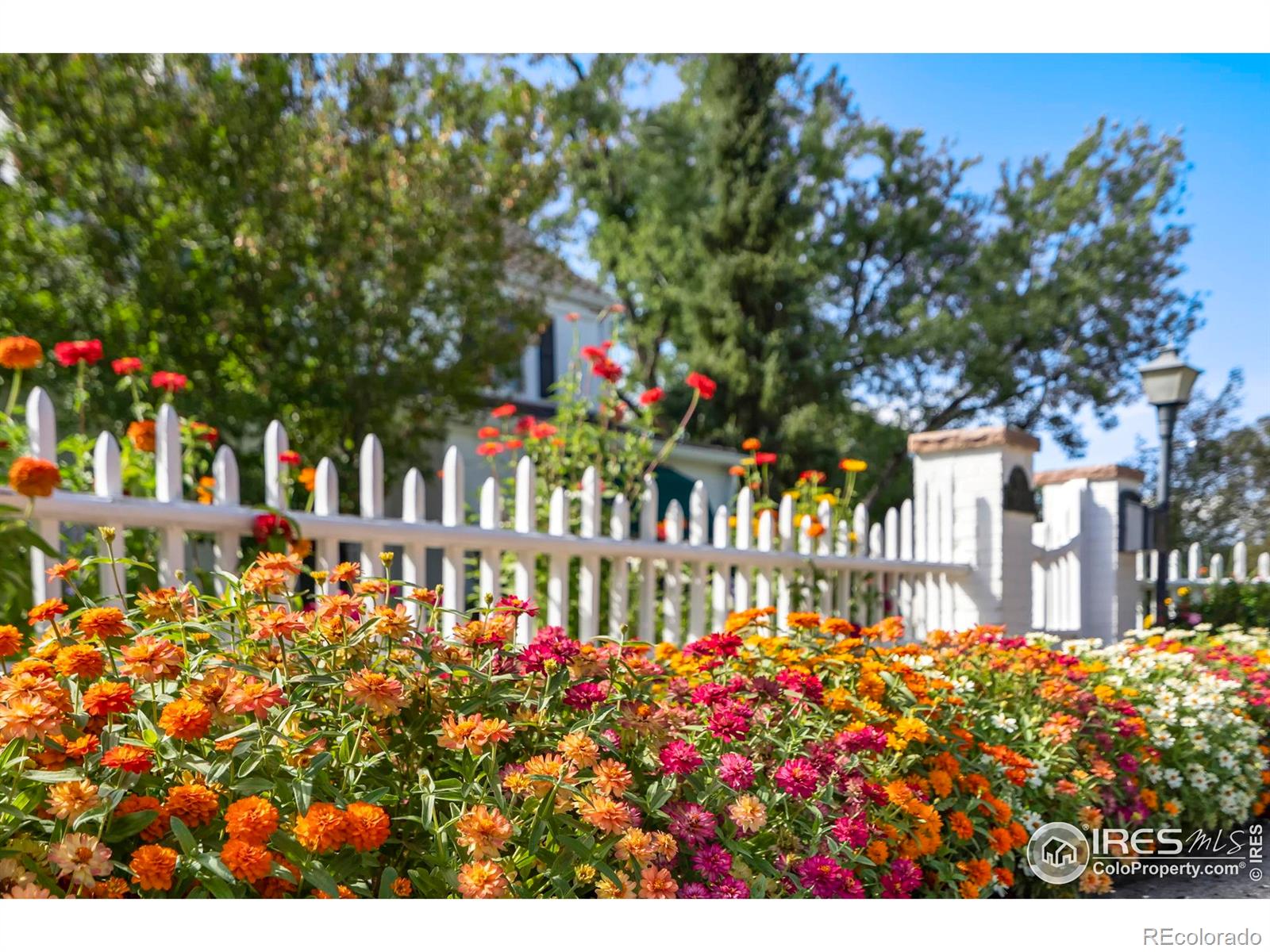 MLS Image #3 for 2000  elbow lane,greeley, Colorado