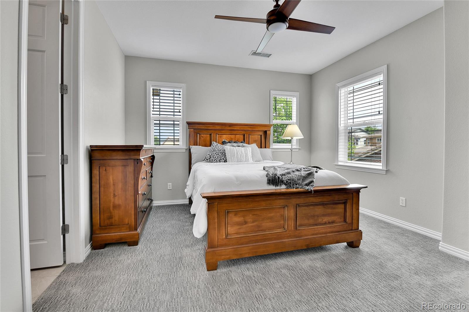 MLS Image #23 for 288  maplehurst point,highlands ranch, Colorado